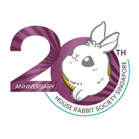 Bunny Rabbit Sticker by the3bunnies.co