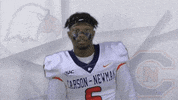Carson Newman Football GIF by Carson-Newman Athletics