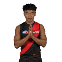 Dons Bombers Sticker by Essendon FC