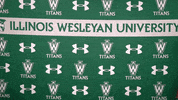 Iwutitans Tgoe GIF by iwusports