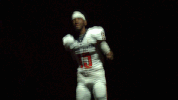cnfb18 cnfootball18 GIF by Carson-Newman Athletics