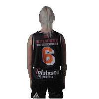 Basketball Sweden Sticker by Borås Basket