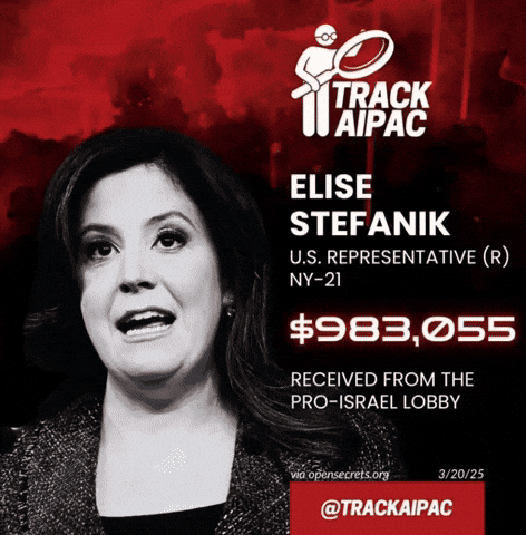 Elise Stefanik Israel GIF by Respective