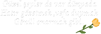 Birev Söz2 Sticker