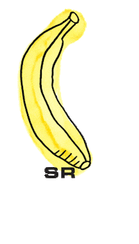 banana sr Sticker by Sonia Rykiel