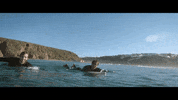 Travel Team GIF by https://www.sharryup.com/