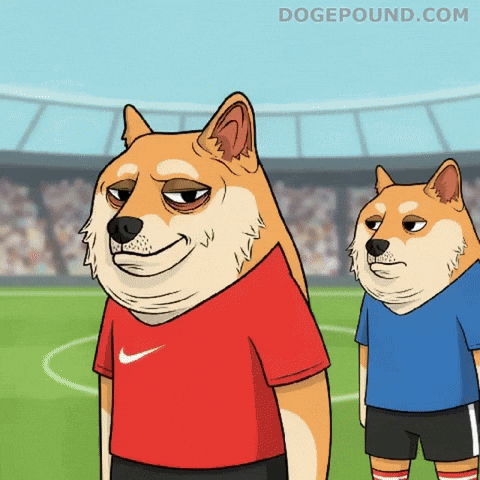 Unimpressed I Told You So GIF by Doge Pound