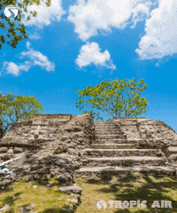 GIF by Tropic Air Belize