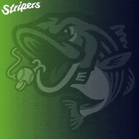 GoStripers strike gwinnett stripers strike out GIF
