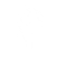 olliebriusyolo white chat bruce fleurs Sticker