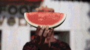 loop festival GIF by Pukkelpop