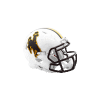 College Football Sticker by Riddell Sports