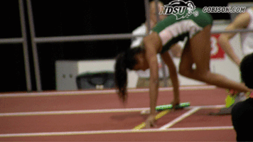 north dakota state bison GIF by NDSU Athletics
