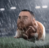 Hamster Flight GIF