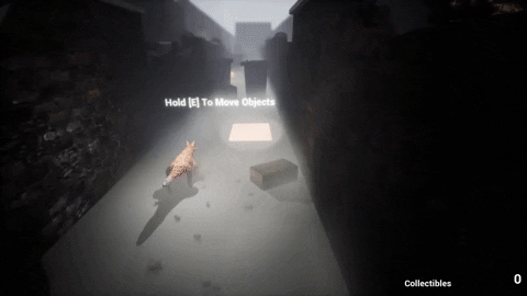 sonnymatthews giphygifmaker GIF