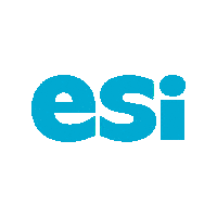 Esi Sticker by ESi_SiMS