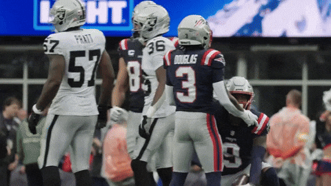 Nfl Football Celebration GIF by New England Patriots