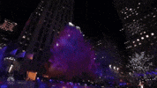 Christmas Tree GIF by NBC