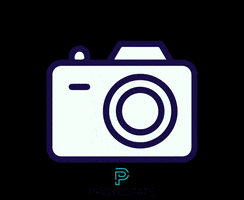 proyectate photography camera fotografia camara GIF