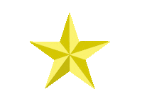 Gold Star Good Job Sticker