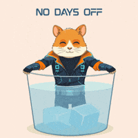 Locked In Motivation GIF by Hamieverse