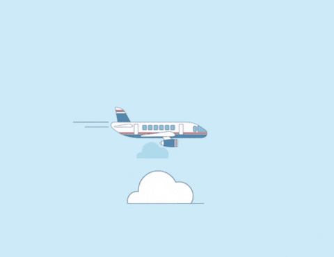 gabyvasi giphygifmaker tceflight GIF