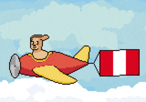 South America Flag GIF by Abstract HotDogs
