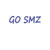 Zurich Go Sticker by Stadtmannschaft Zürich
