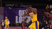 Los Angeles Lakers Sport GIF by NBA
