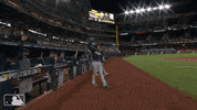 Excited Lets Go GIF by MLB