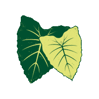Hawaii Taro Sticker by Partners in Development Foundation