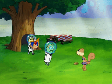 season 6 boating buddies GIF by SpongeBob SquarePants