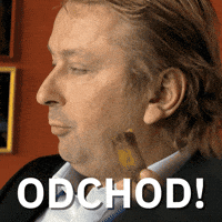 Lobby Volby GIF by Seznam.cz