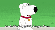 Family Guy Baseball GIF by FOX TV