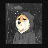 Sad Shiba Inu GIF by Doge Pound