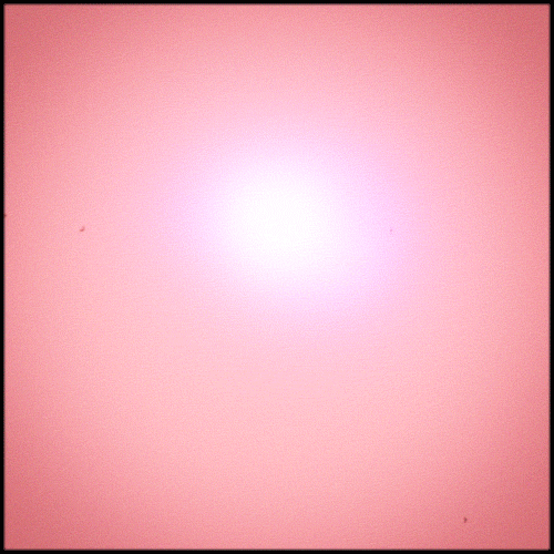 pink glow GIF by Erica Anderson