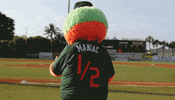 miamihurricanes sports dancing college ncaa GIF