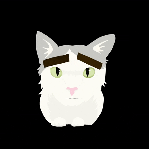 meguuedaart anime cat kawaii animals GIF