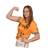 Softball Sticker by WVU Tech Golden Bears