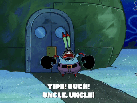 season 4 GIF by SpongeBob SquarePants