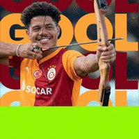 Galatasaray Gabriel GIF by degerli