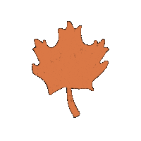 MidwestHouse fall leaf leaves seasons Sticker