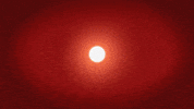 Cle Dessin Anime GIF by Watch Next Media