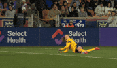2025 GIF by National Women's Soccer League