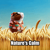 Peace GIF by Guinea Gambino