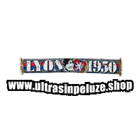 Olympique Lyon Sticker by UltrasInPeluze