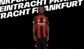 Bundesliga Tor GIF by Eintracht Frankfurt