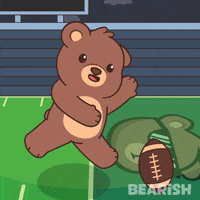 Super Bowl Win GIF by BEARISH