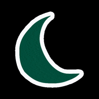 helixsleep moon birch GIF