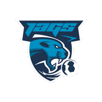 jagshandball handball wha jags hla Sticker